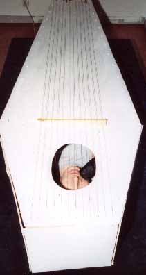 The Singing Coffin with Bergmark singing.