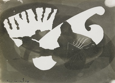 Gösta Kriland: Utan titlar, fotogram, gelatinsilverfotografi (photogram, gelatin silver print), 40-tal.