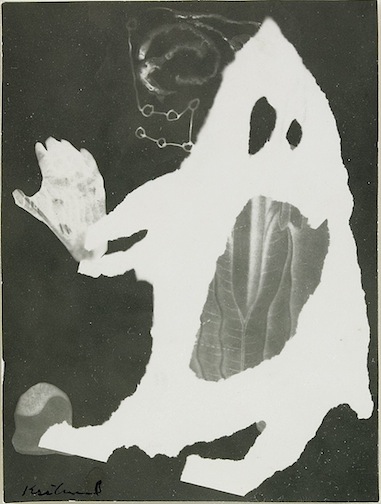 Gösta Kriland: Utan titlar, fotogram, gelatinsilverfotografi (photogram, gelatin silver print), 40-tal.
